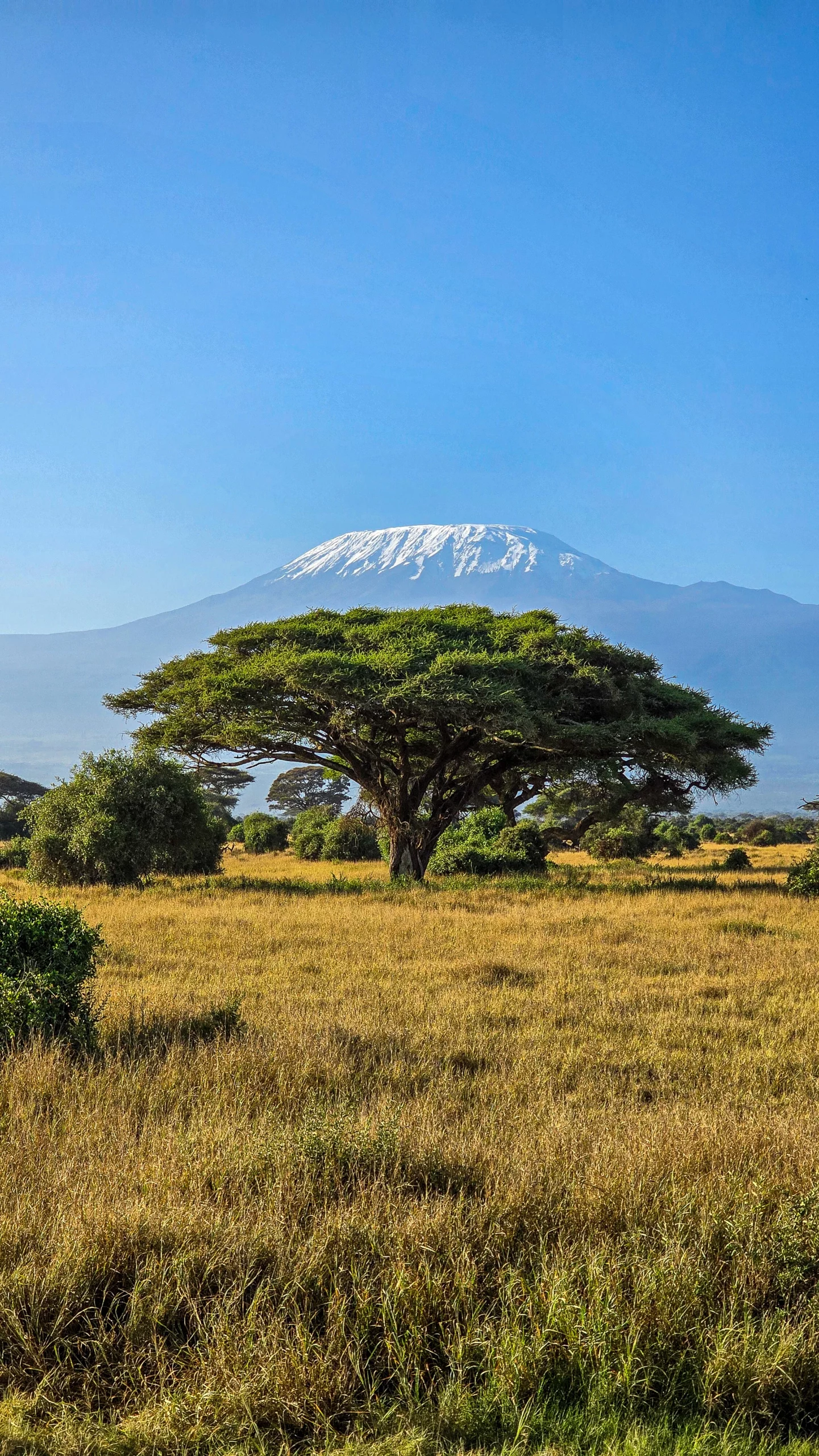 mont kilimandjaro tanzanie scaled