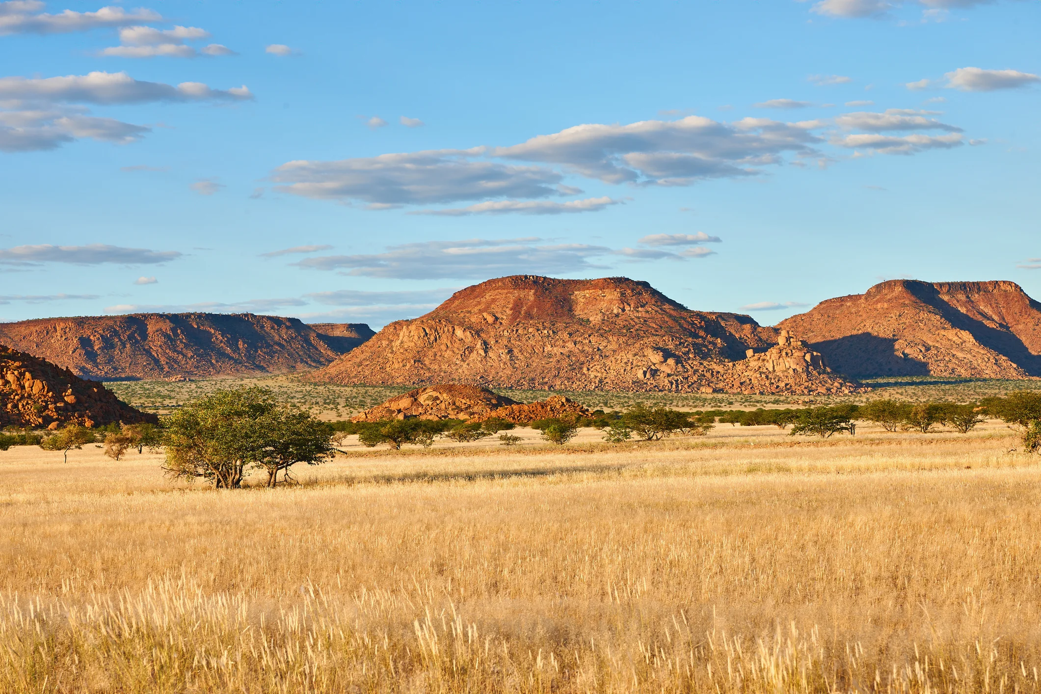 damaraland sauvage