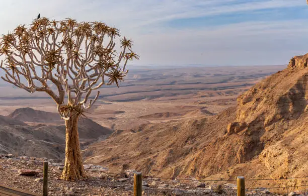 vue sur le fish river canyon en namibie 2