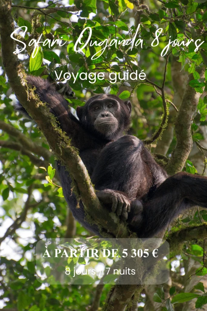 L'Ouganda en famille 12 Itinéraire safari ouganda 8 jours