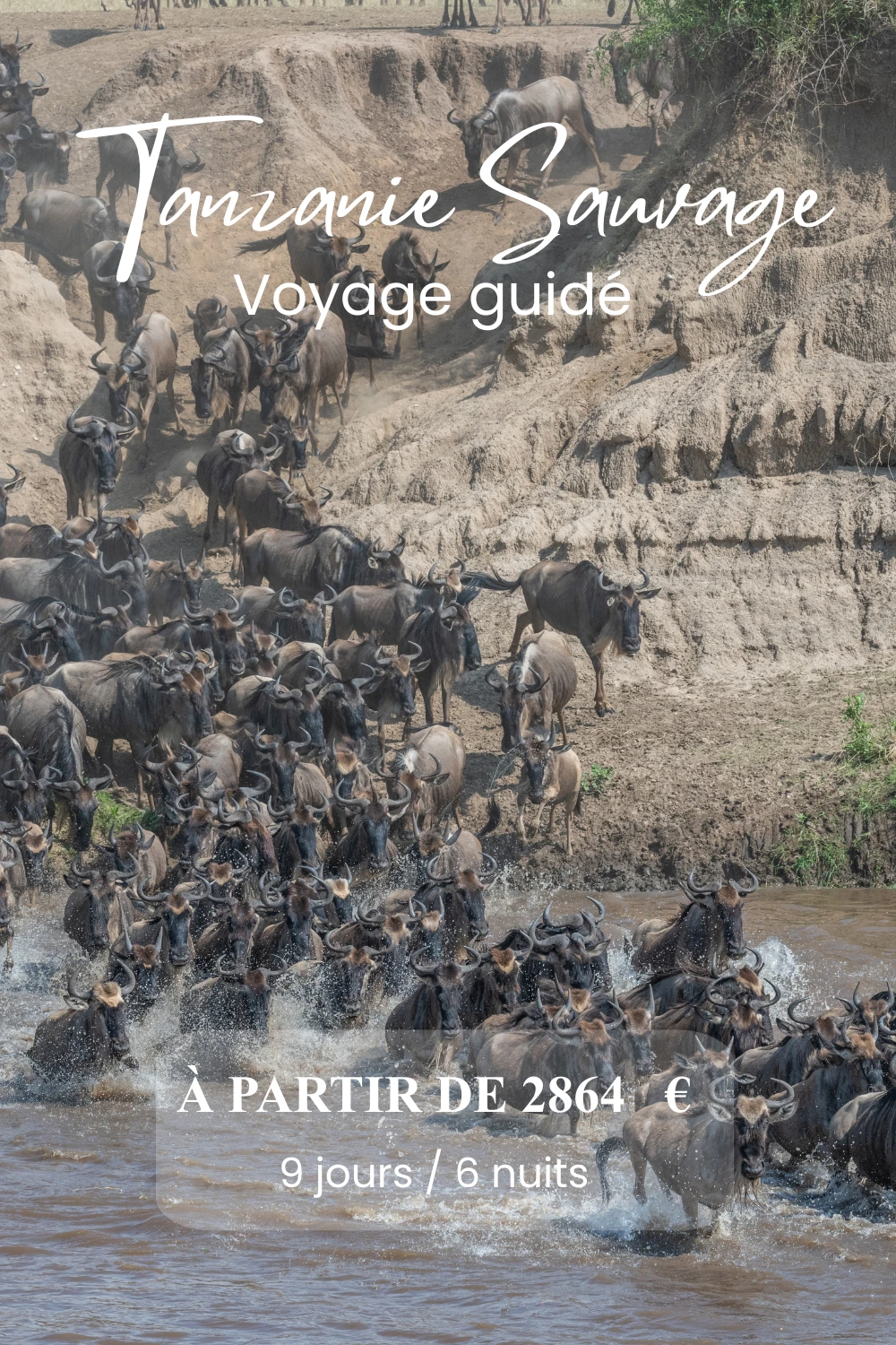 Tanzanie sauvage en 9 jours