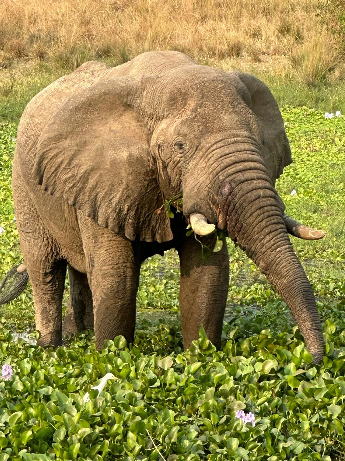 WhatsApp Image 2025 09 05 at 19.07.40 5 copie