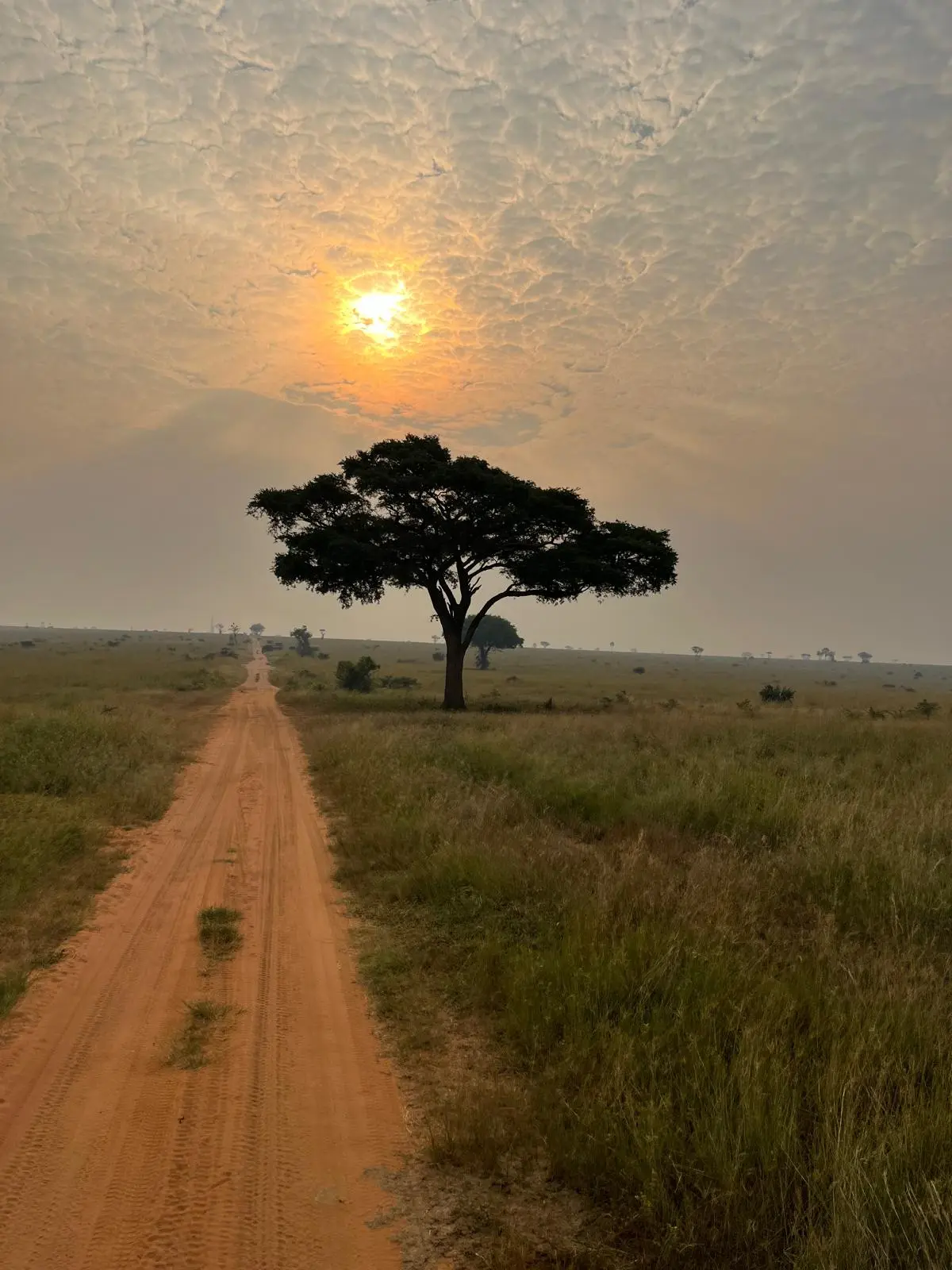 WhatsApp Image 2025 09 05 at 19.07.40