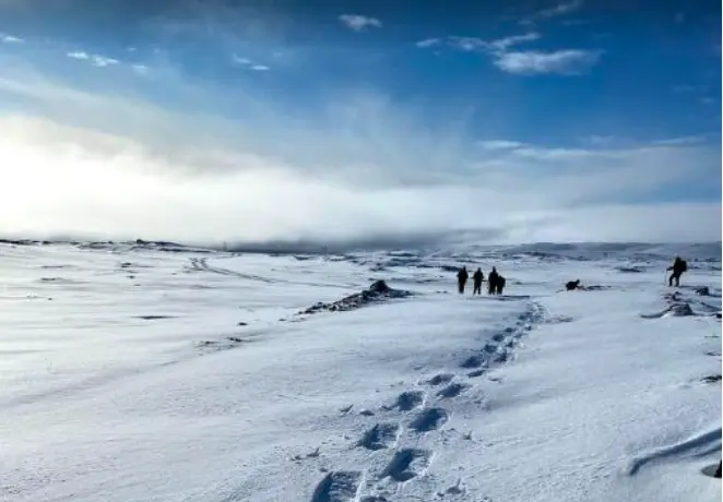 Capture d’écran 2025-12-31 à 14.02.09