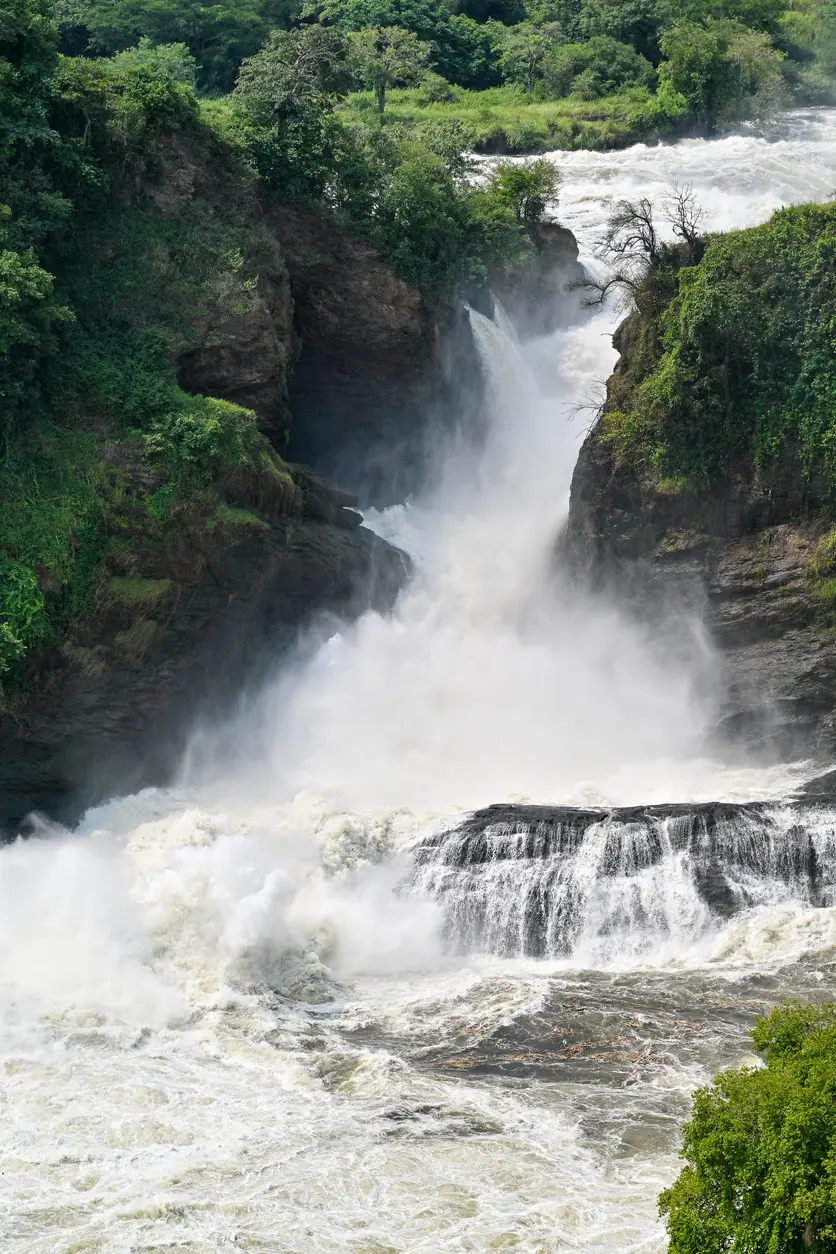 murchison falls - ouganda