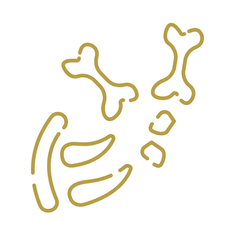 Sites Archéologiques