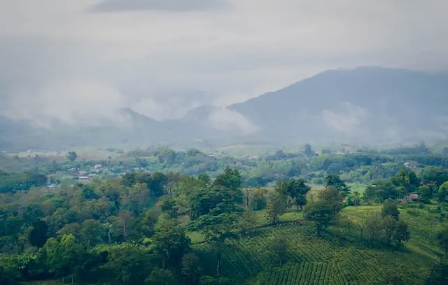 DE BANGKOK À CHIANG MAI 3 waranont-joe-BQr79FtU17g-unsplash