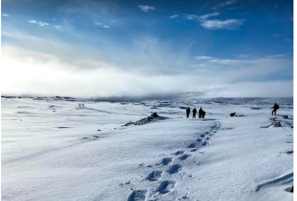 Randonnée, Sources Chaudes et Aurores Boréales 4 Capture d’écran 2026-01-12 à 12.35.47