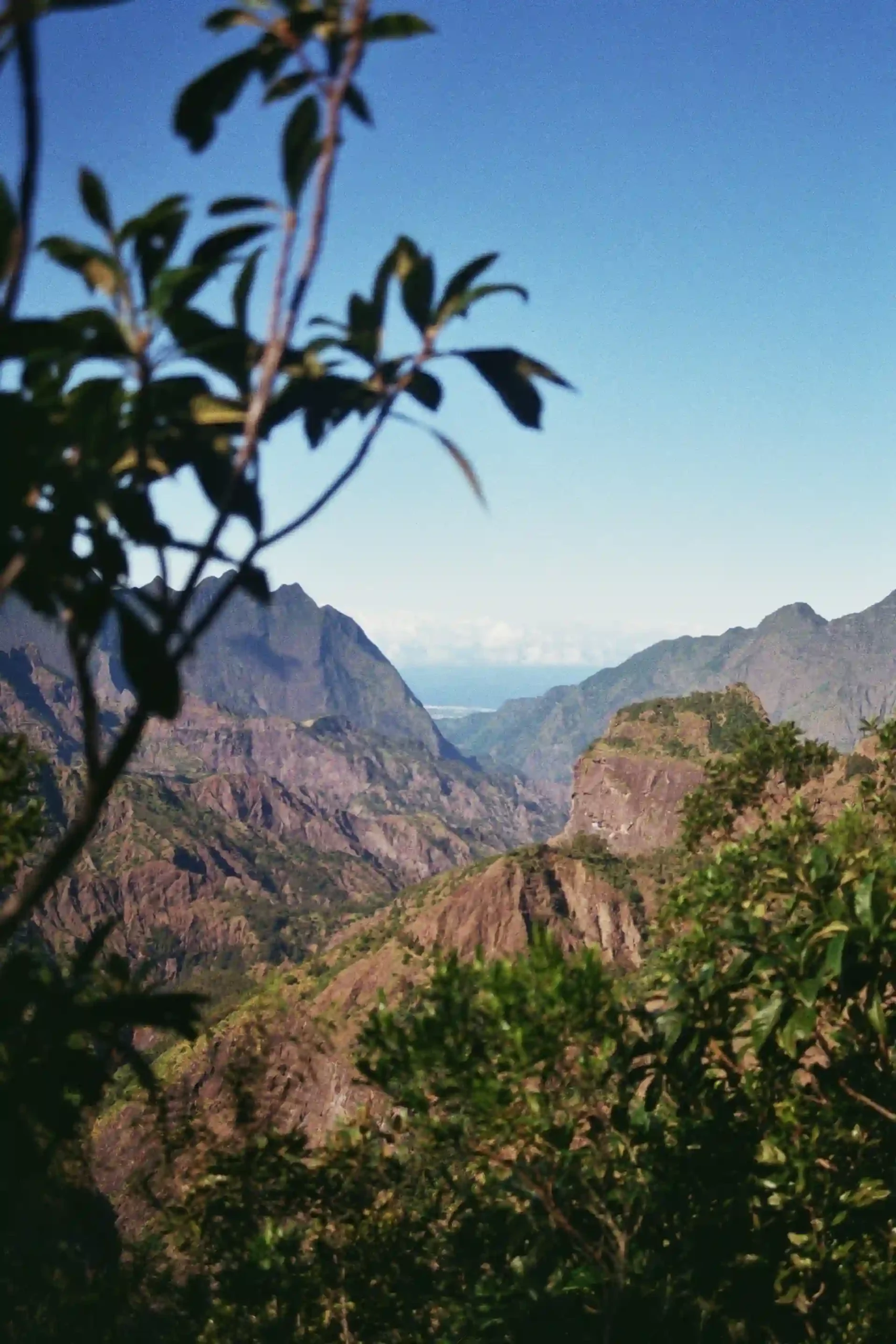 Paysage la réunion