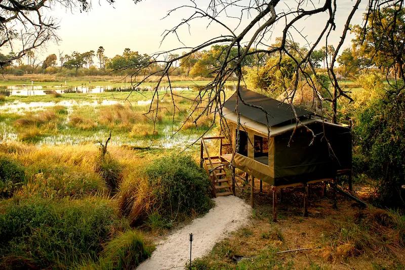 odd balls camp la voyagerie