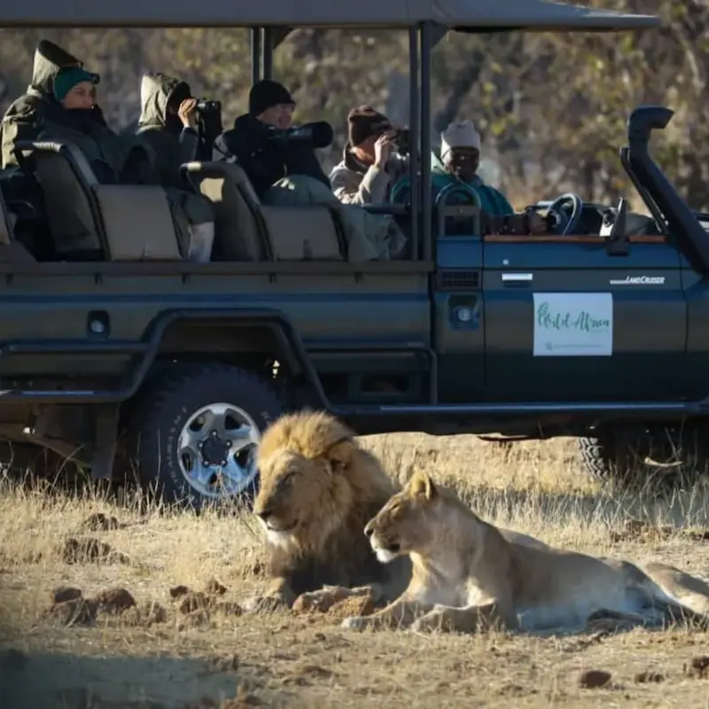 vehicule de safari botswanais la voyagerie