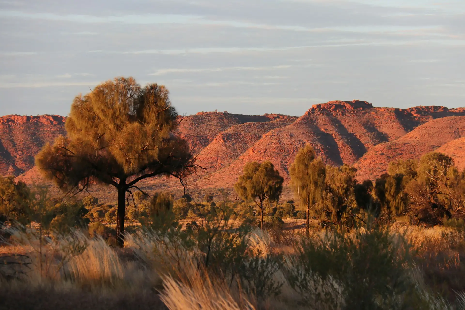 outback Australie