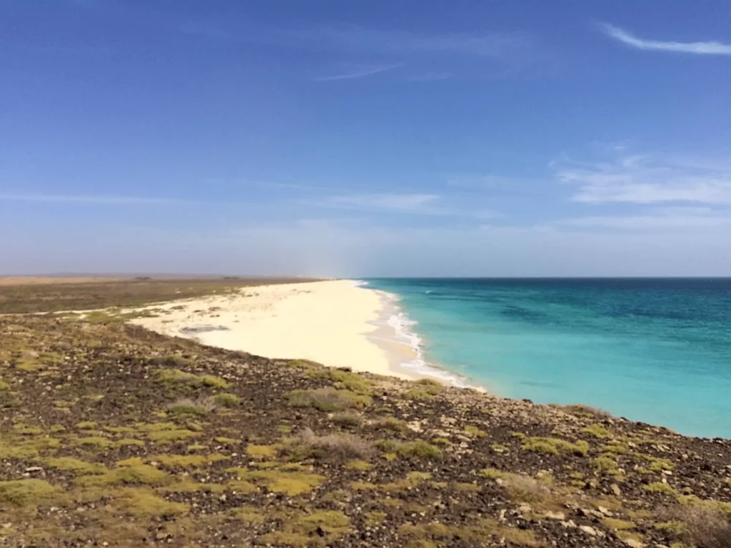 îles de boa vista et sal la voyagerie découverte rivages